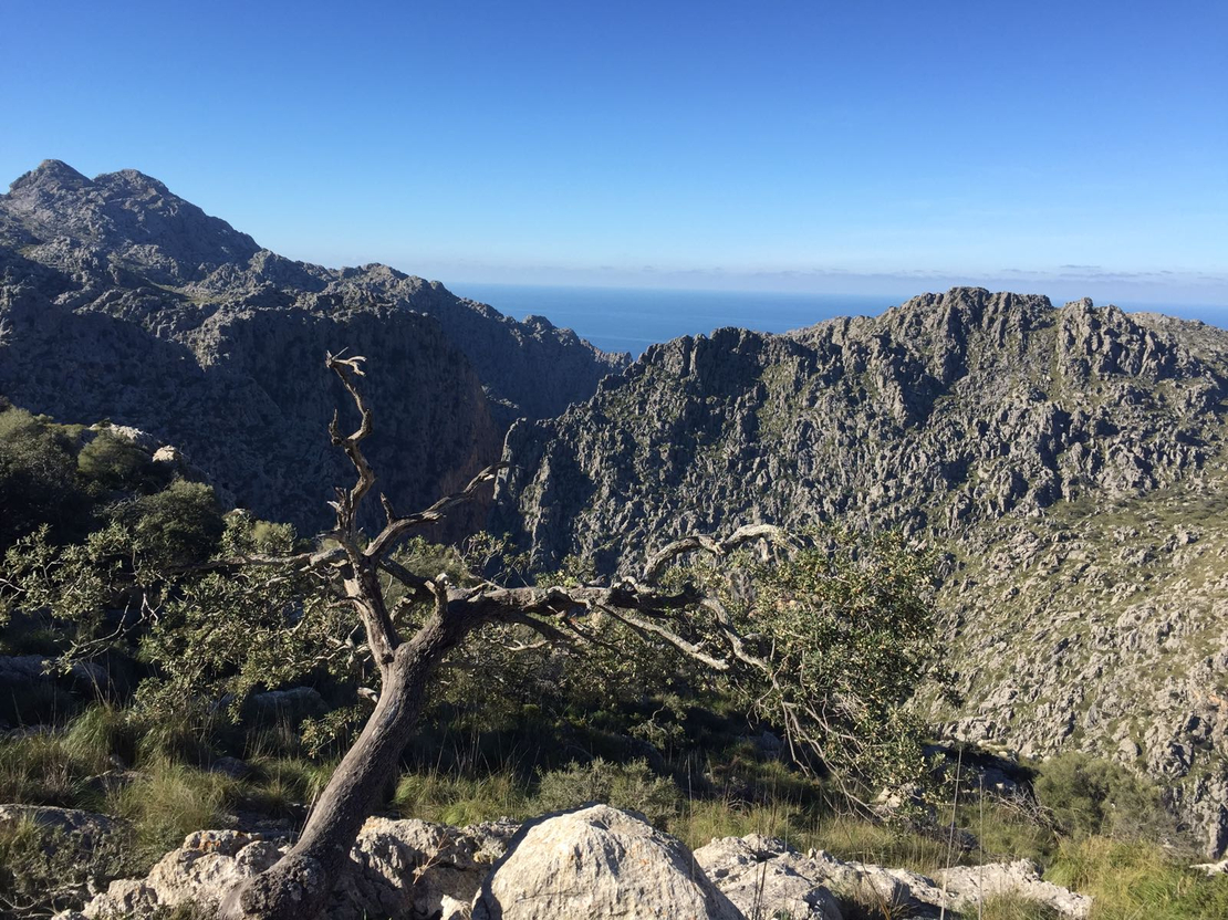 Tramuntana Gebirge Mallorca