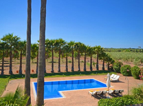 Wunderschöne Finca in ruhiger Alleinlage im Inselnorden von Mallorca - ausgestattet mit schnellem Internet, Klimaanlage in den Schlafzimmern, Heizung, Pool, Palmengarten und komfortabler Sommerküche im gepflegten Außenbereich.