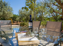 Schöne Finca mit Pool und gepflegten Garten zur Ferienmiete im Inselnorden von Mallorca im kleinen Dorf Buger