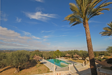 Ferienhaus Grandina Mallorca Bild 4