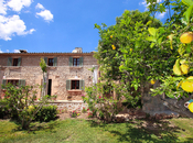 Finca Es Picot Bild 29 Innen- und Außenansicht