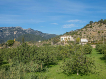 Sie suchen ein großes Anwesen auf Mallorca? Neu in der Finca - Vermietung ist das renovierte Herrenhaus Boseto für 12 Personen mit viel Platz, Pool, Garten, Grill, Klimaanlage und einem Esszimmer -an der schönen Westküste von Mallorca.